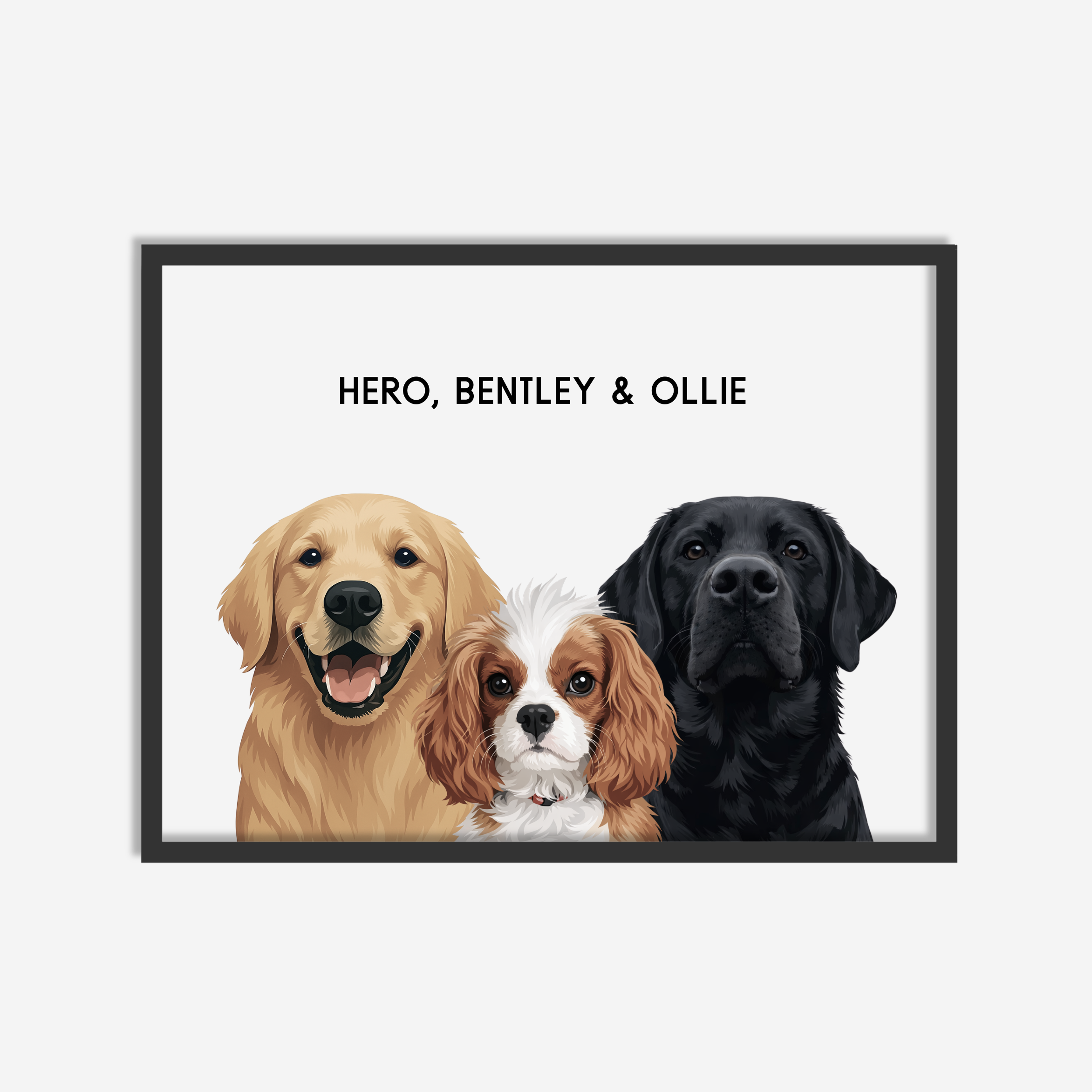 Modern Pet Portrait